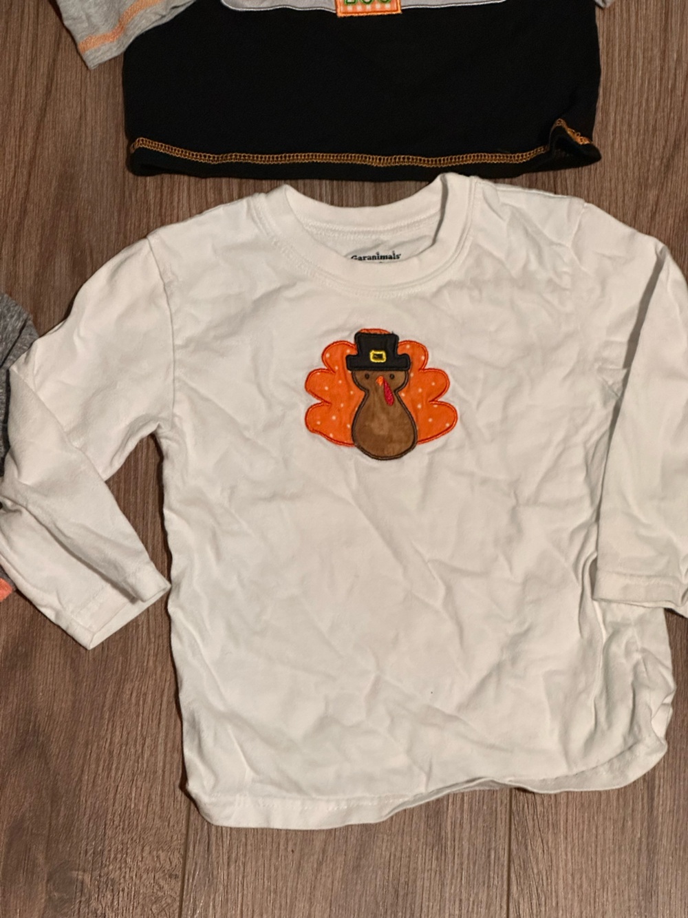 Bundle of Boys 3T Long Sleeve Top and Sweaters - Picture 2 of 12